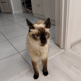 �� �����...