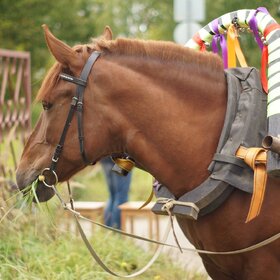 ���������.