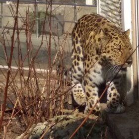 �������.