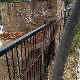 �������.