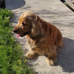 ��������.