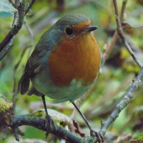 �������.